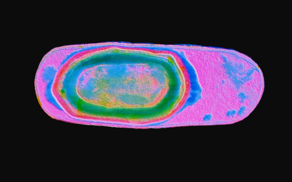 How do dormant, sleeping microorganisms become active again?