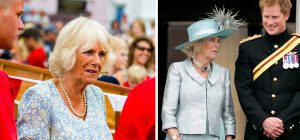 queen-camilla-‘outraged’-following-prince-harry’s-visit-to-see-his-father-for-‘loving-son-pr-stunt,’-according-to-a-source.