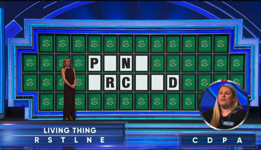 fans-outraged-after-‘wheel-of-fortune’-refuses-to-give-prize-to-woman-who-answered-correctly